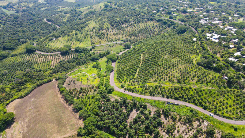 Vista del proyecto Programa de Obra Pública Convenida FAEISPUM