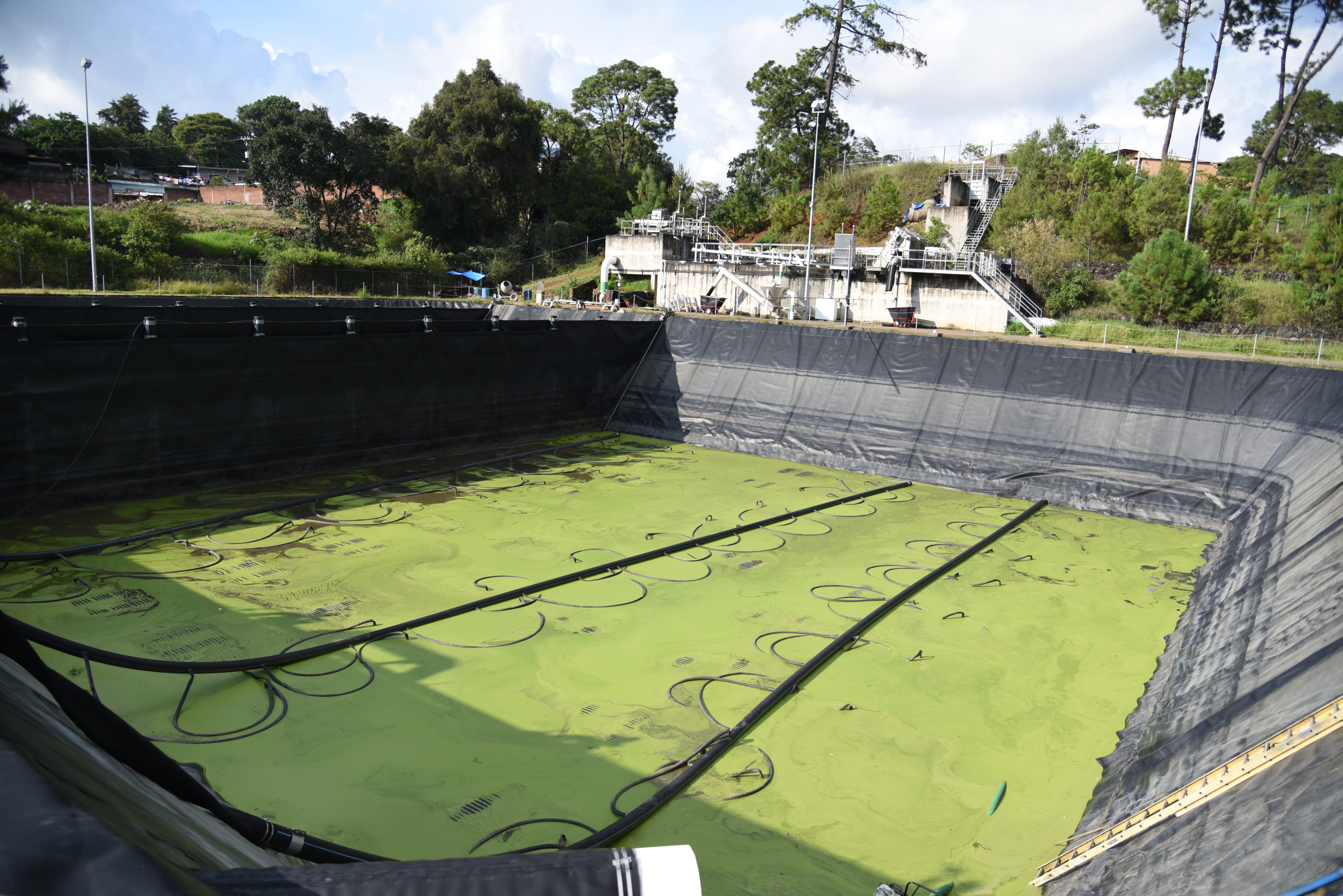 Problema de movilidad